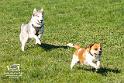 D_Foto Laudi_SO_Fruehlingsfest_Zeitlarn-203